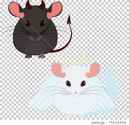 angel and devil, good and bad chinchilla isolated on white angel and devil, good and bad chinchilla isolated on white 75528154