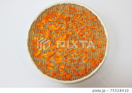 カレンデュラ カレンデュラ 75528410