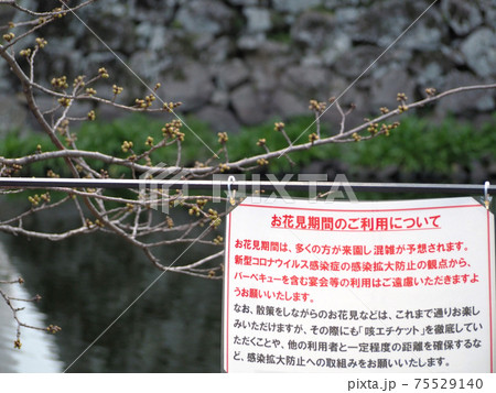 花見の新型コロナ注意看板 花見の新型コロナ注意看板 75529140