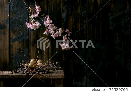 Easter dark rustic still life with blooming branch 75529766