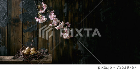 Easter dark rustic still life with blooming branch 75529767