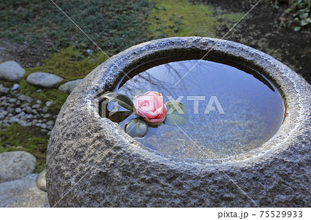一茶双樹記念館 水鉢(手水鉢)千葉県流山市  一茶双樹記念館 水鉢(手水鉢)千葉県流山市  75529933