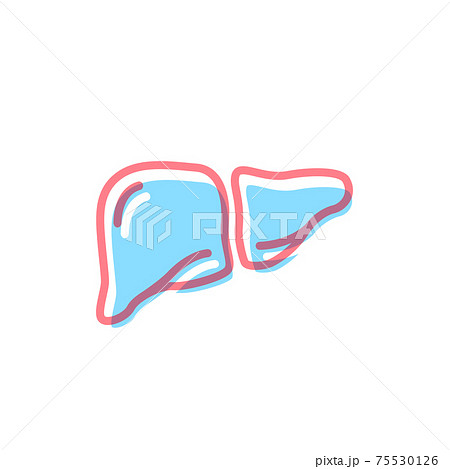Liver icon in modern colors on white Liver icon in modern colors on white 75530126