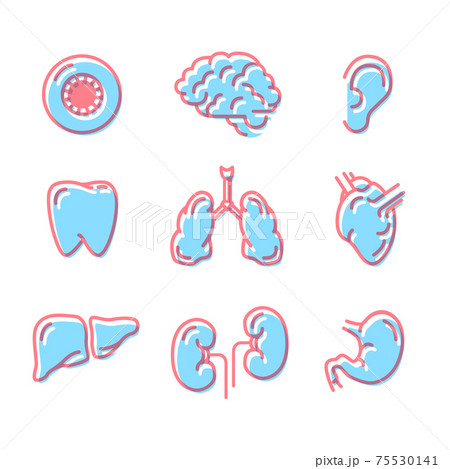 Set of simple colour icons of human organs on white 75530141