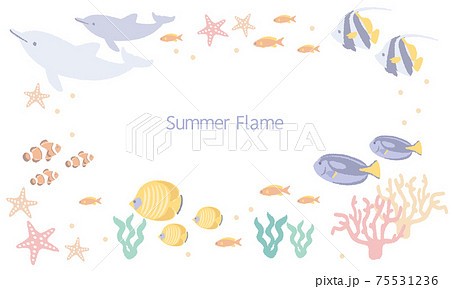 夏のイルカや熱帯魚のマリンなベクターイラストフレーム メッセージカード コピースペース のイラスト素材