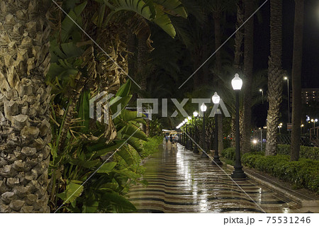 A night view from the streets of Alicante, Spain 75531246