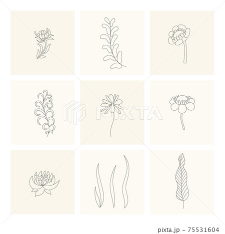 Floral elements. Collection of hand drawn plants. Set design elements in sketch style flowers and branches. Botanical icons 75531604