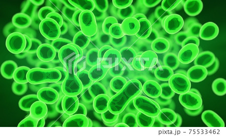 Cellular Division Under Microscope. Mitosis, The Process Of Cell Division And Multiplication. Medical Science Cellular Division Under Microscope. Mitosis, The Process Of Cell Division And Multiplication. Medical Science 75533462