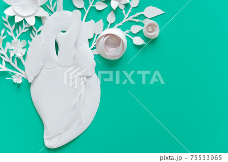 Human heart organ concept with paper flowers as a circulatory anatomy made of paper as a medical health care symbol of an inner cardiovascular body part. Human heart organ concept with paper flowers as a circulatory anatomy made of paper as a medical health care symbol of an inner cardiovascular body part. 75533965