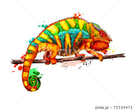 Chameleon From A Splash Of Watercolor Colored Stock Illustration