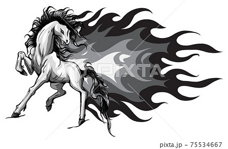 Monochromatic Horse Silhouettes With Flame のイラスト素材
