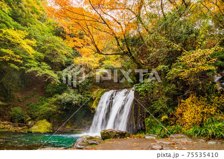 伊豆半島河津の秋 紅葉の河津七滝 初景滝 伊豆半島河津の秋 紅葉の河津七滝 初景滝 75535410
