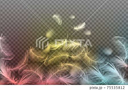 Ecological feather filler for pillows, blankets or jackets.Realistic vector goose or chicken feathers. 75535812