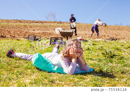 Successful farming is a hard family business 75536116