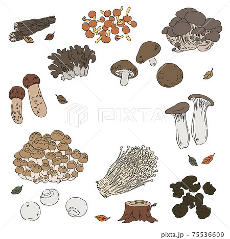 きのこのイラストセット 手描きのイラスト素材