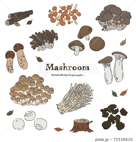 きのこのイラストセット 手描きのイラスト素材