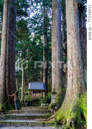 雄山神社 中宮祈願殿参道（縦）1 75538011