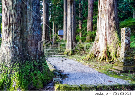 雄山神社 中宮祈願殿参道2 雄山神社 中宮祈願殿参道2 75538012