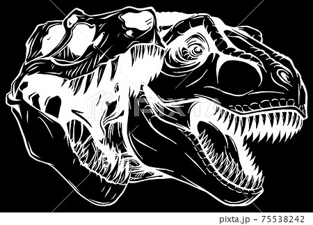 Tyrannosaurus Rex Skull Fossil Silhouette In のイラスト素材