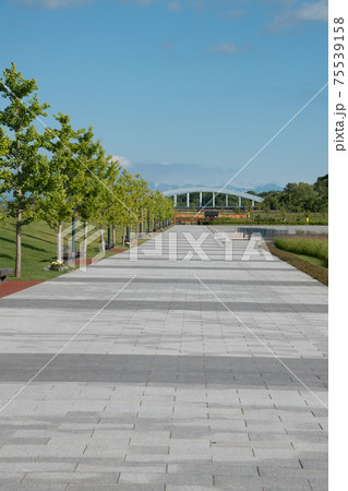初夏の公園の遊歩道 75539158