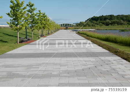 初夏の公園の遊歩道 初夏の公園の遊歩道 75539159