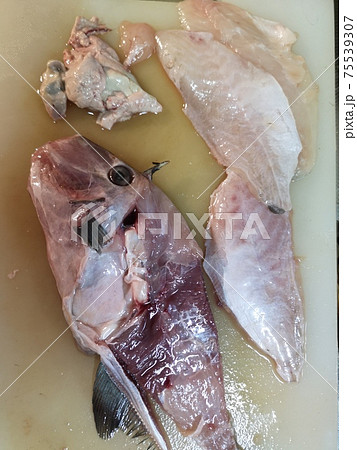 ウマズラ 75539307