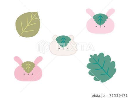 くま柏餅、うさぎ桜餅とその葉っぱのイラスト素材 [75539471] - PIXTA