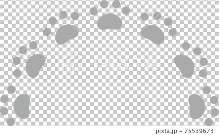 Gray animal footprints semicircle 75539673