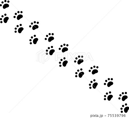 黒色の動物の足跡 飾り罫 黒色の動物の足跡 飾り罫 75539796