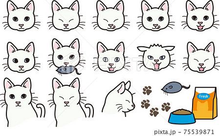 白いネコのいろいろな表情 75539871