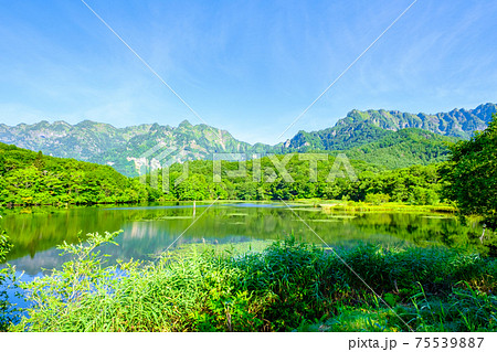 鏡池と戸隠山(夏) 鏡池と戸隠山(夏) 75539887