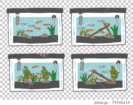 メダカ水槽 4パターンのイラスト素材