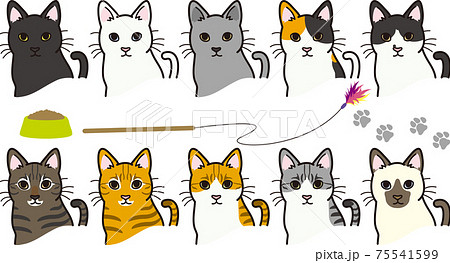 Illustrations Cats Various Coat Color Patterns Stock Vector (Royalty Free)  1935072722