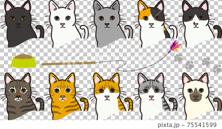 猫の毛色いろいろ 猫の毛色いろいろ 75541599