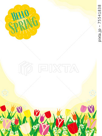 HELLO SPRINGラベルと、カラフルなチューリップ畑背景 HELLO SPRINGラベルと、カラフルなチューリップ畑背景 75541838