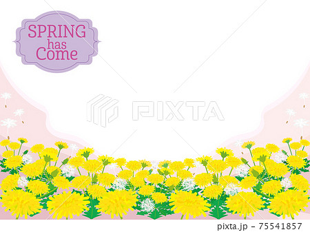 SPRING has comeラベルと、たんぽぽ野原の春の背景フレーム SPRING has comeラベルと、たんぽぽ野原の春の背景フレーム 75541857