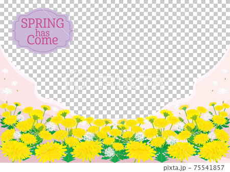 SPRING has comeラベルと、たんぽぽ野原の春の背景フレーム SPRING has comeラベルと、たんぽぽ野原の春の背景フレーム 75541857