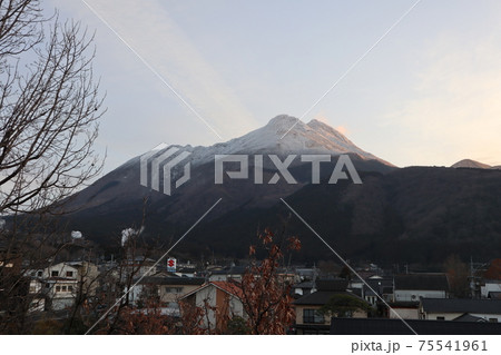 冠雪の由布岳 冠雪の由布岳 75541961