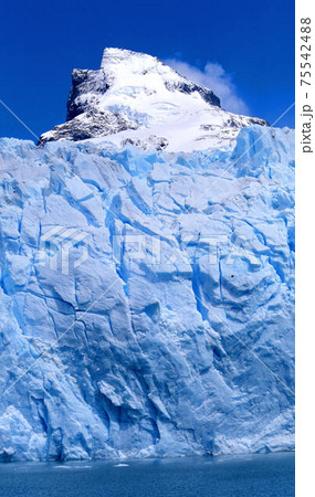 ペリトモレノ 75542488