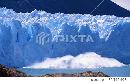 ペリトモレノ 75542493