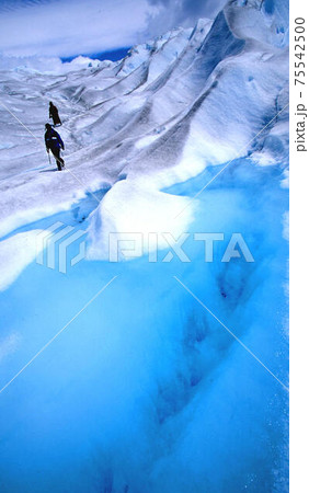 ペリトモレノ 75542500