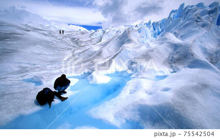 ペリトモレノ 75542504