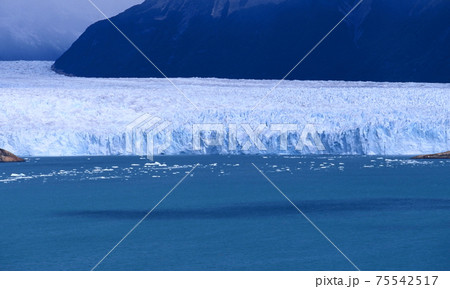 ペリトモレノ 75542517