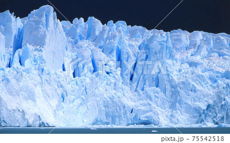 ペリトモレノ 75542518