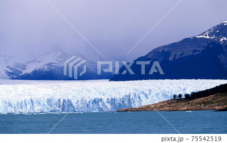 ペリトモレノ 75542519