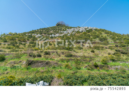 一壺王子から拝ノ峠の風景（熊野古道・藤白坂） 75542893