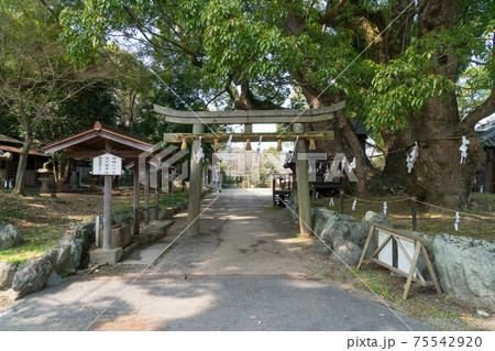 藤白神社(熊野古道・藤白坂) 藤白神社(熊野古道・藤白坂) 75542920