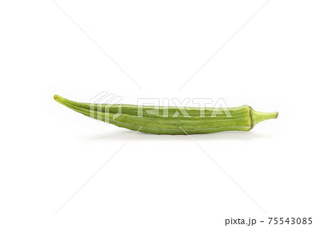 Close up okra isolated on the white backgroud. Close up okra isolated on the white backgroud. 75543085