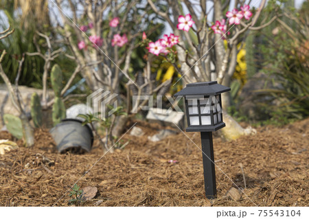 Close up charging solar lamp on the ground in the garden. Energy saving lamp. Close up charging solar lamp on the ground in the garden. Energy saving lamp. 75543104