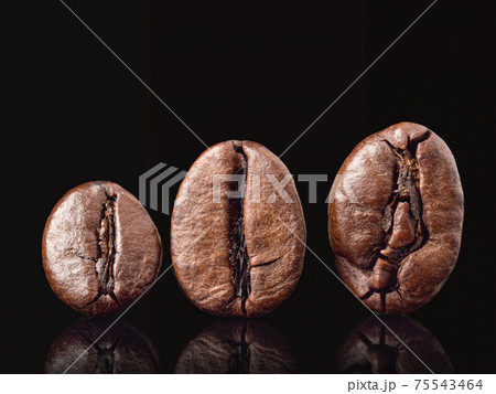 Coffee beans on black background. Macro shoot. Low Coffee beans on black background. Macro shoot. Low 75543464